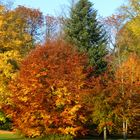 Herbststimmung