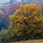 Herbststimmung