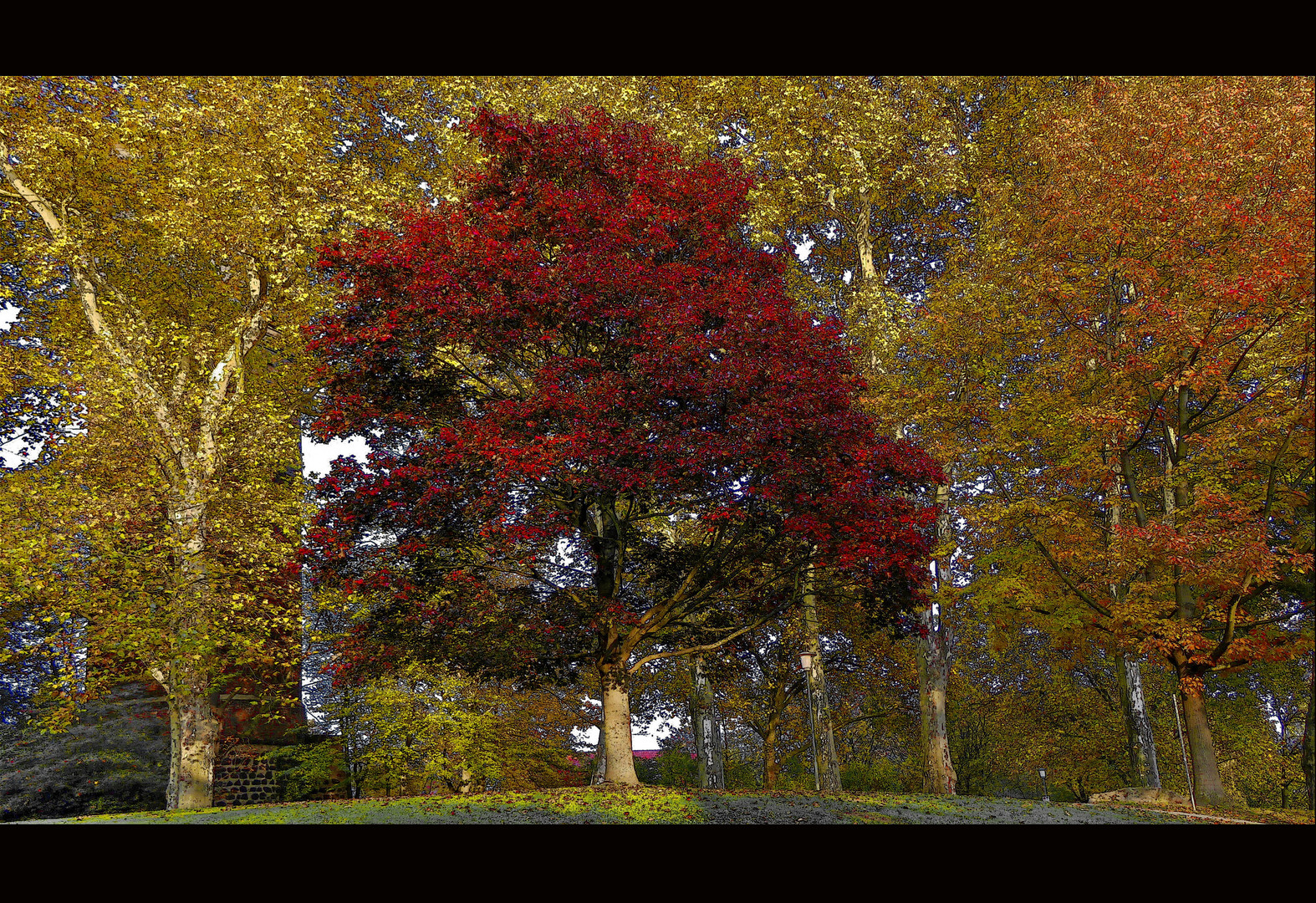 Herbststimmung