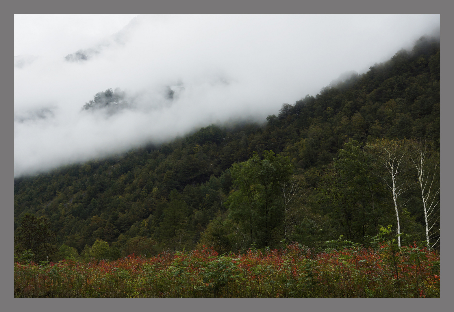 *herbststimmung*