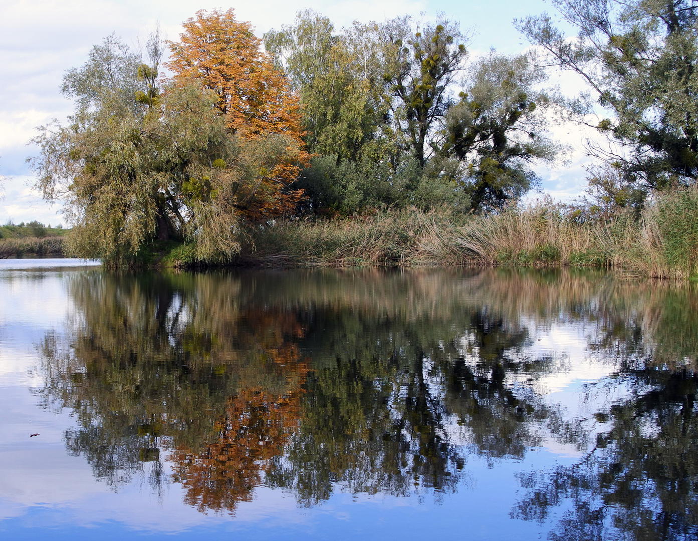 Herbststimmung