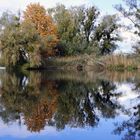 Herbststimmung