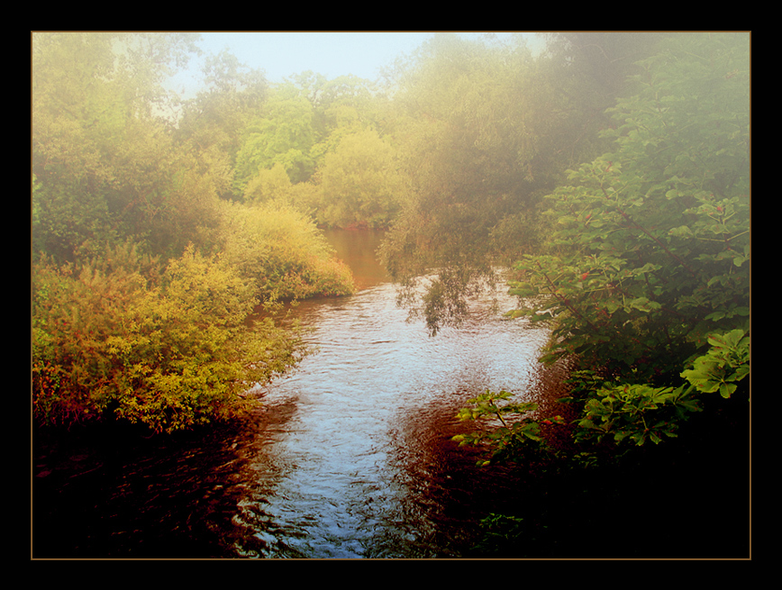 Herbststimmung