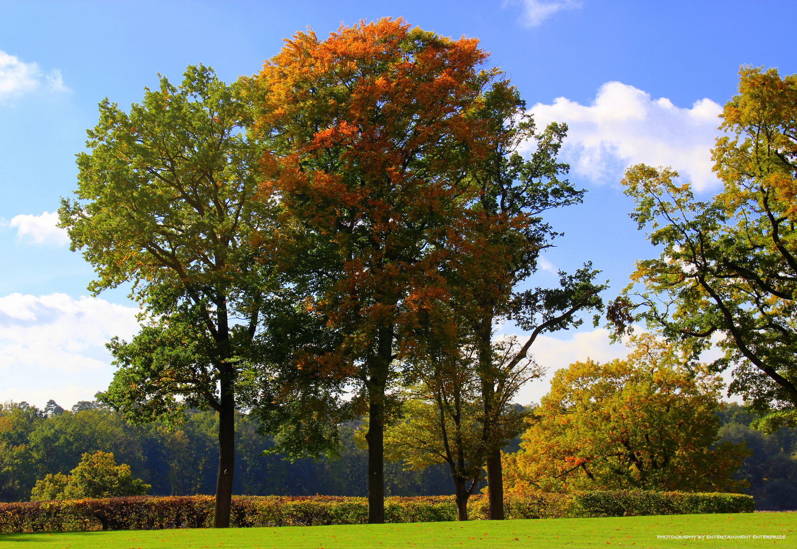 Herbststimmung