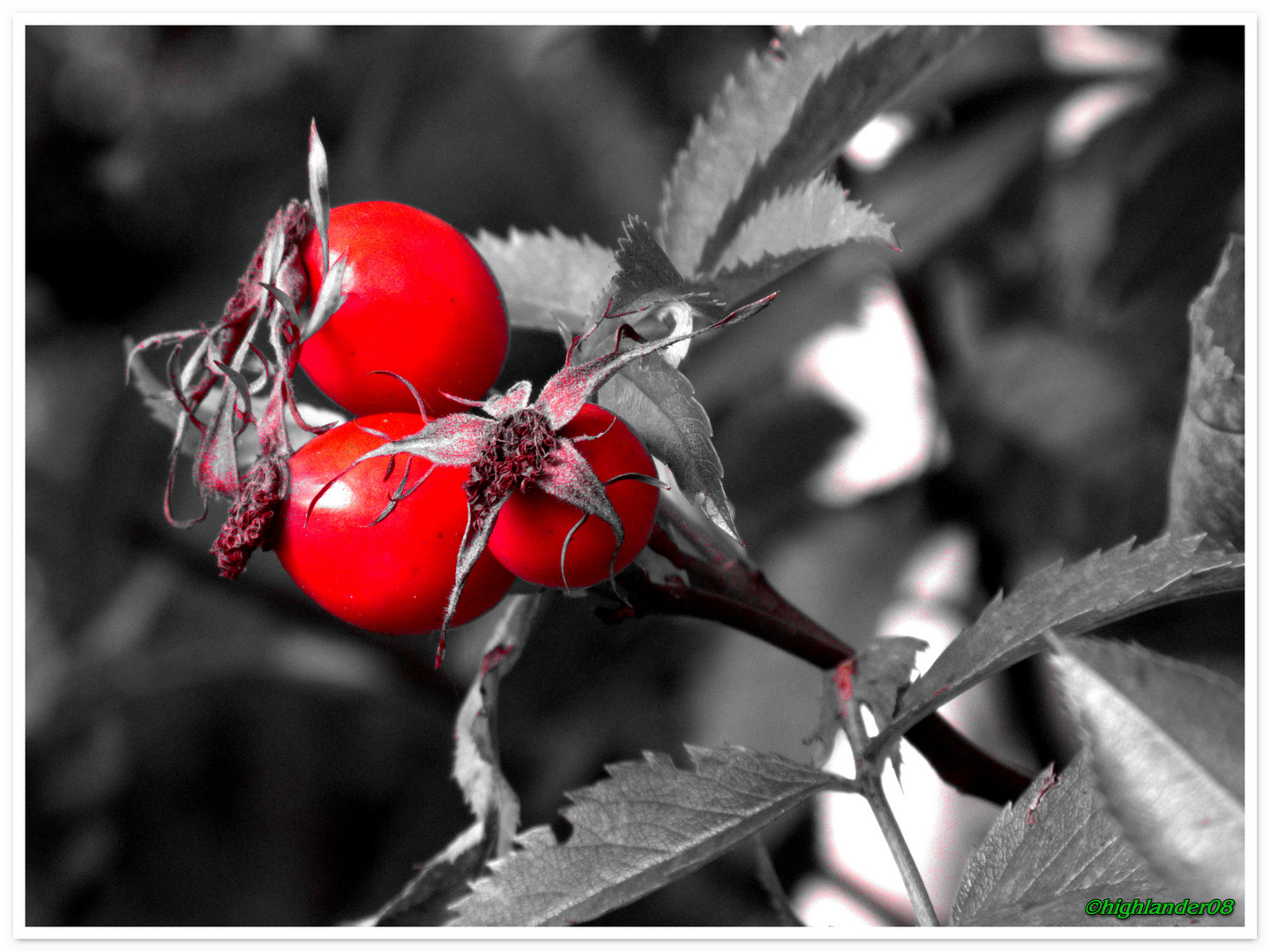 Herbststimmung