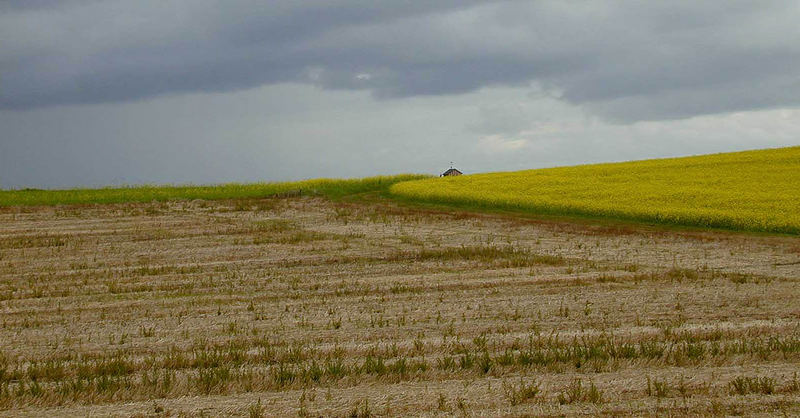 Herbststimmung