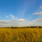 Herbststimmung