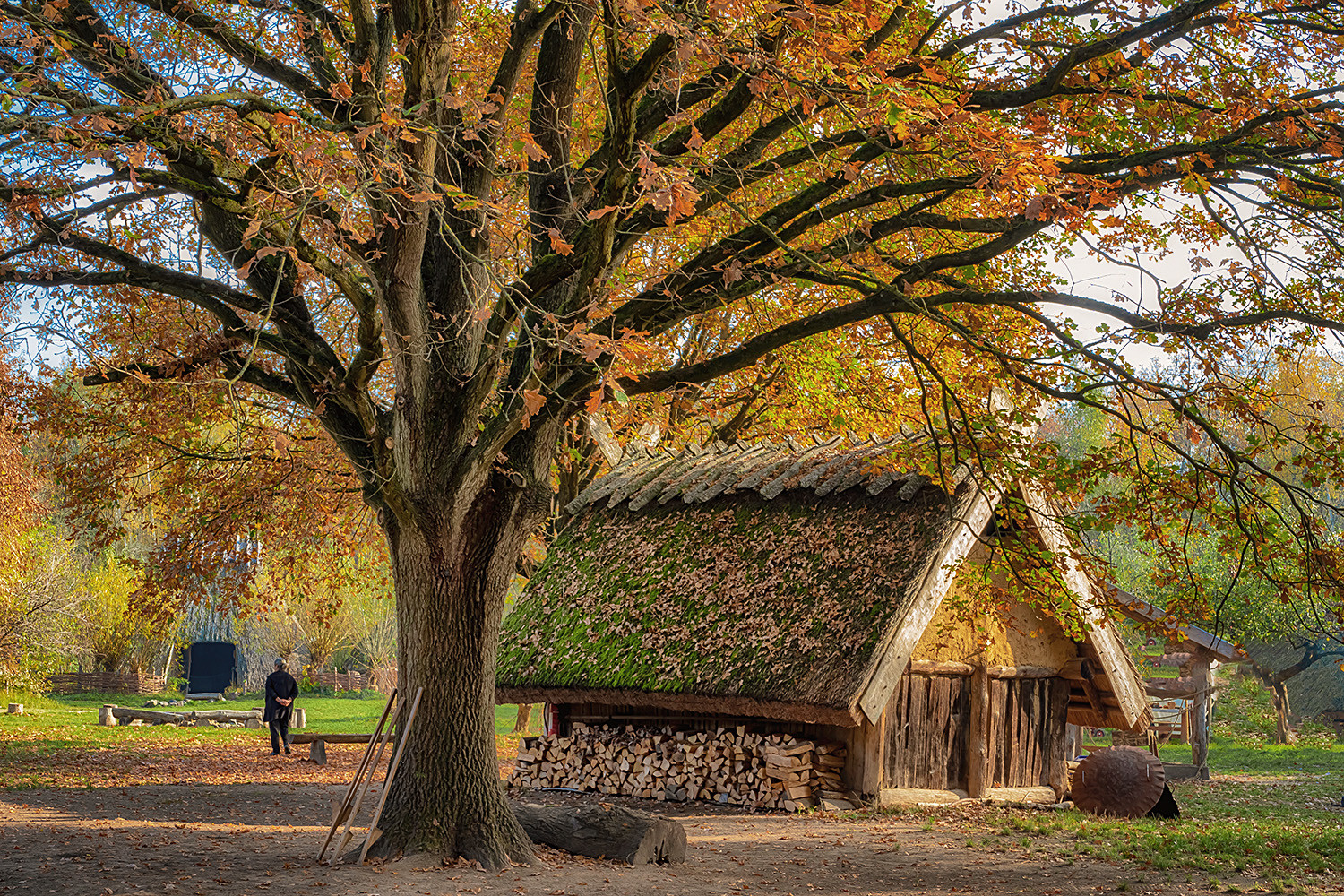 Herbststimmung  