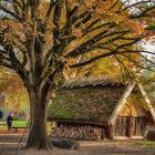 Herbststimmung  