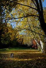  Herbststimmung