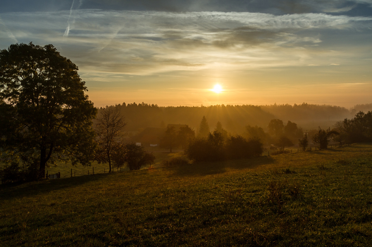 Herbststimmung