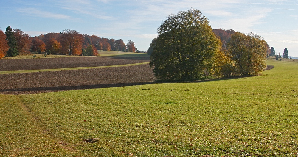 Herbststimmung...