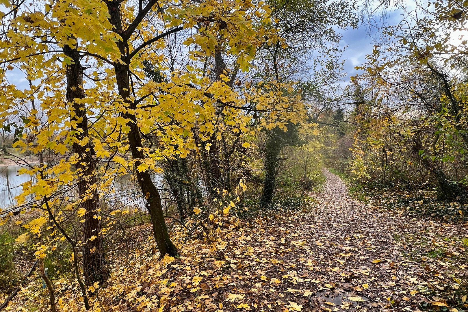 Herbststimmung