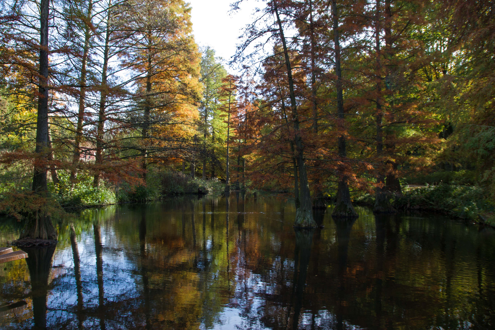 Herbststimmung