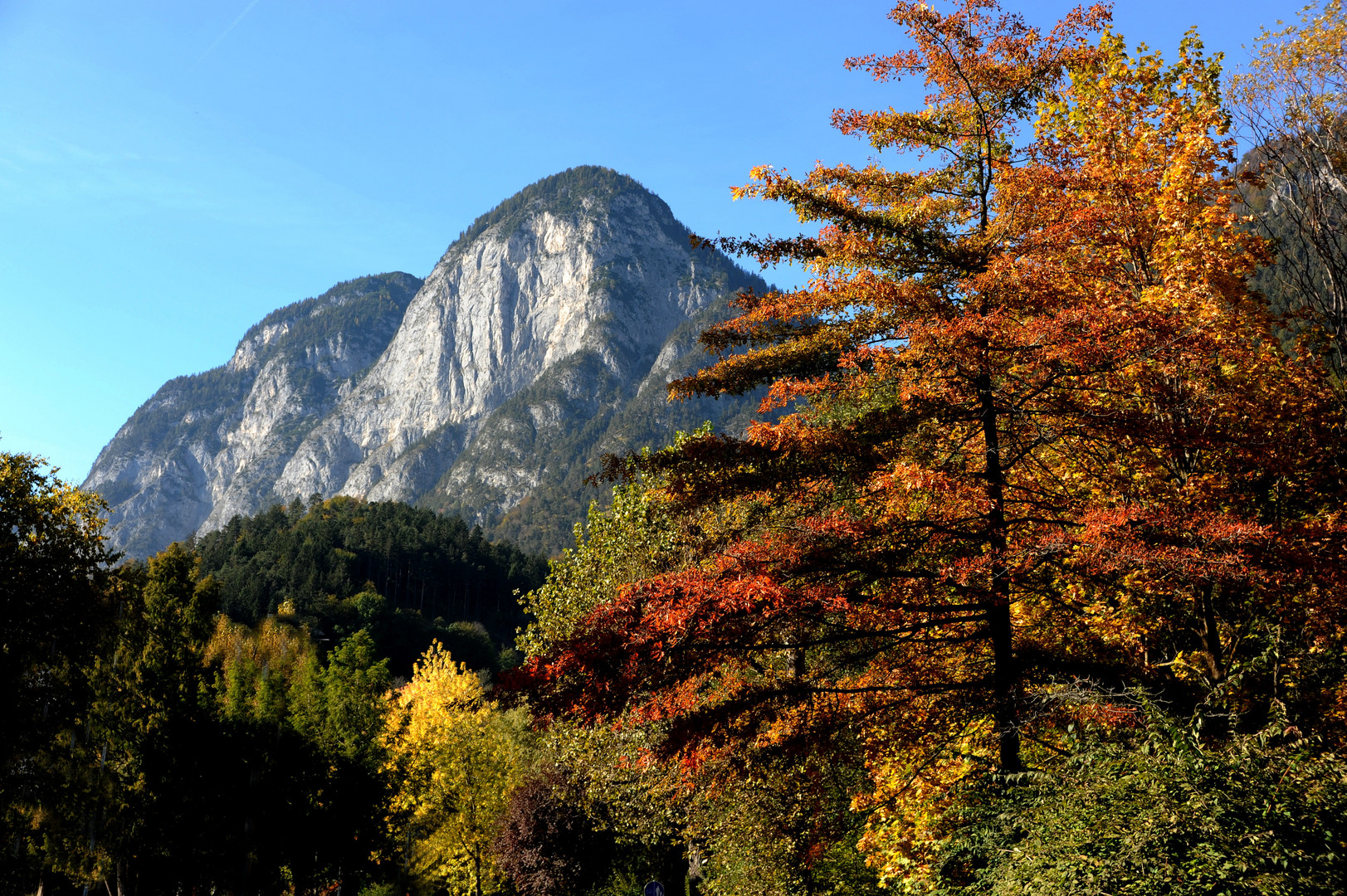 Herbststimmung