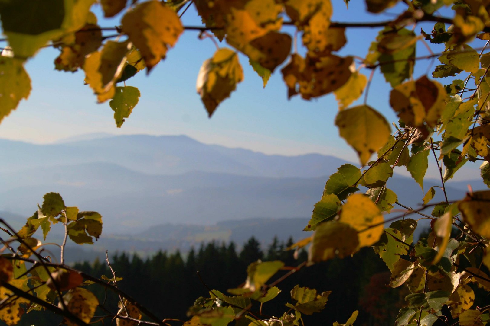 Herbststimmung