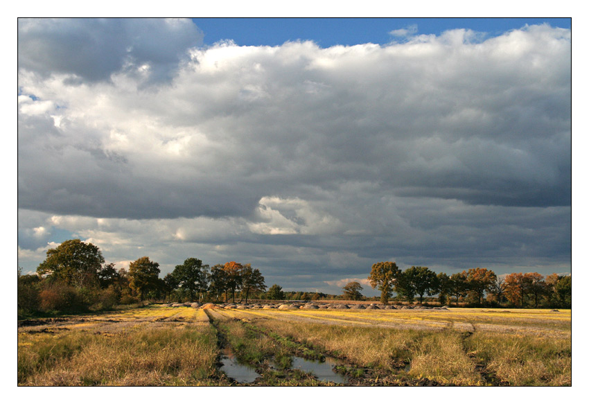 Herbststimmung