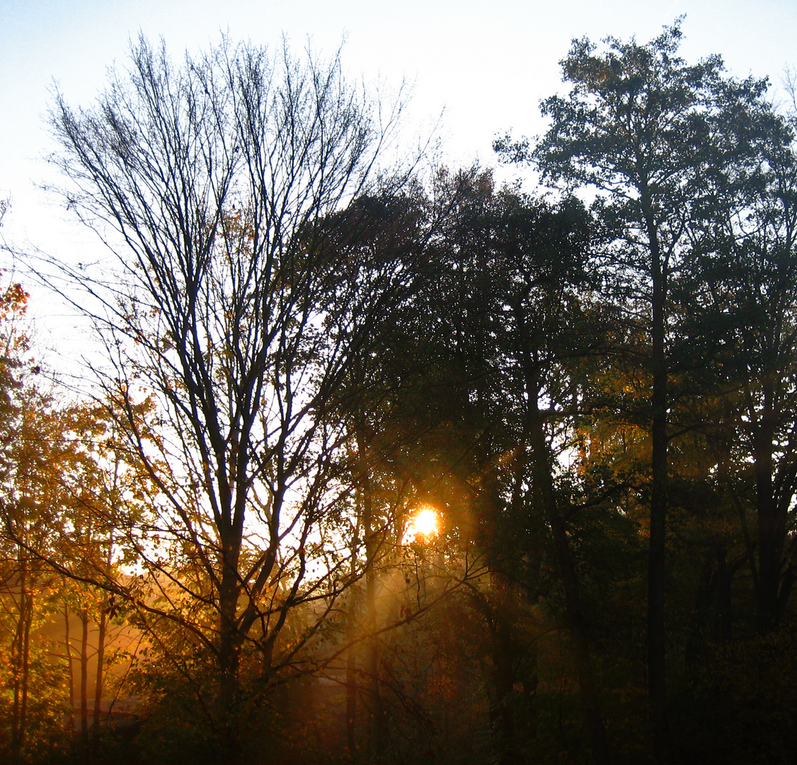 Herbststimmung