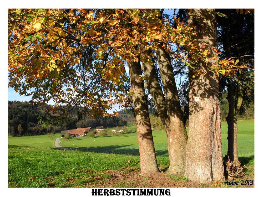 Herbststimmung