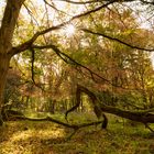 Herbststimmung