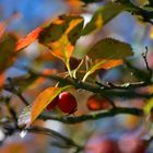 Herbststimmung