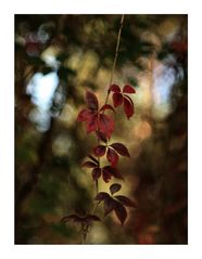 Herbststimmung