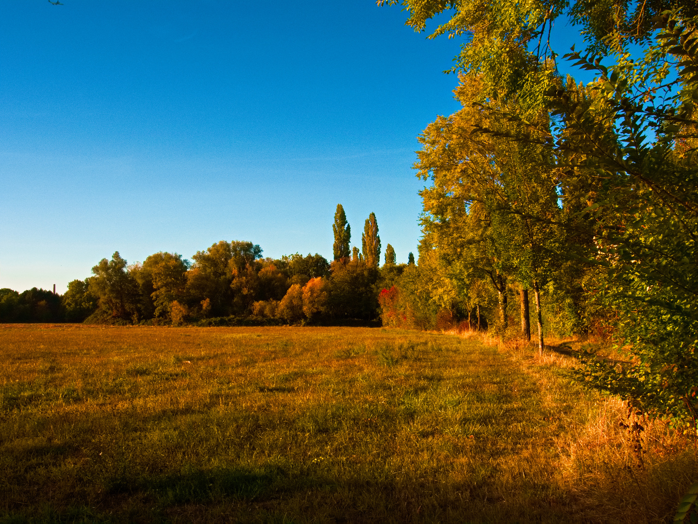 Herbststimmung