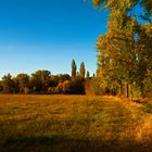 Herbststimmung