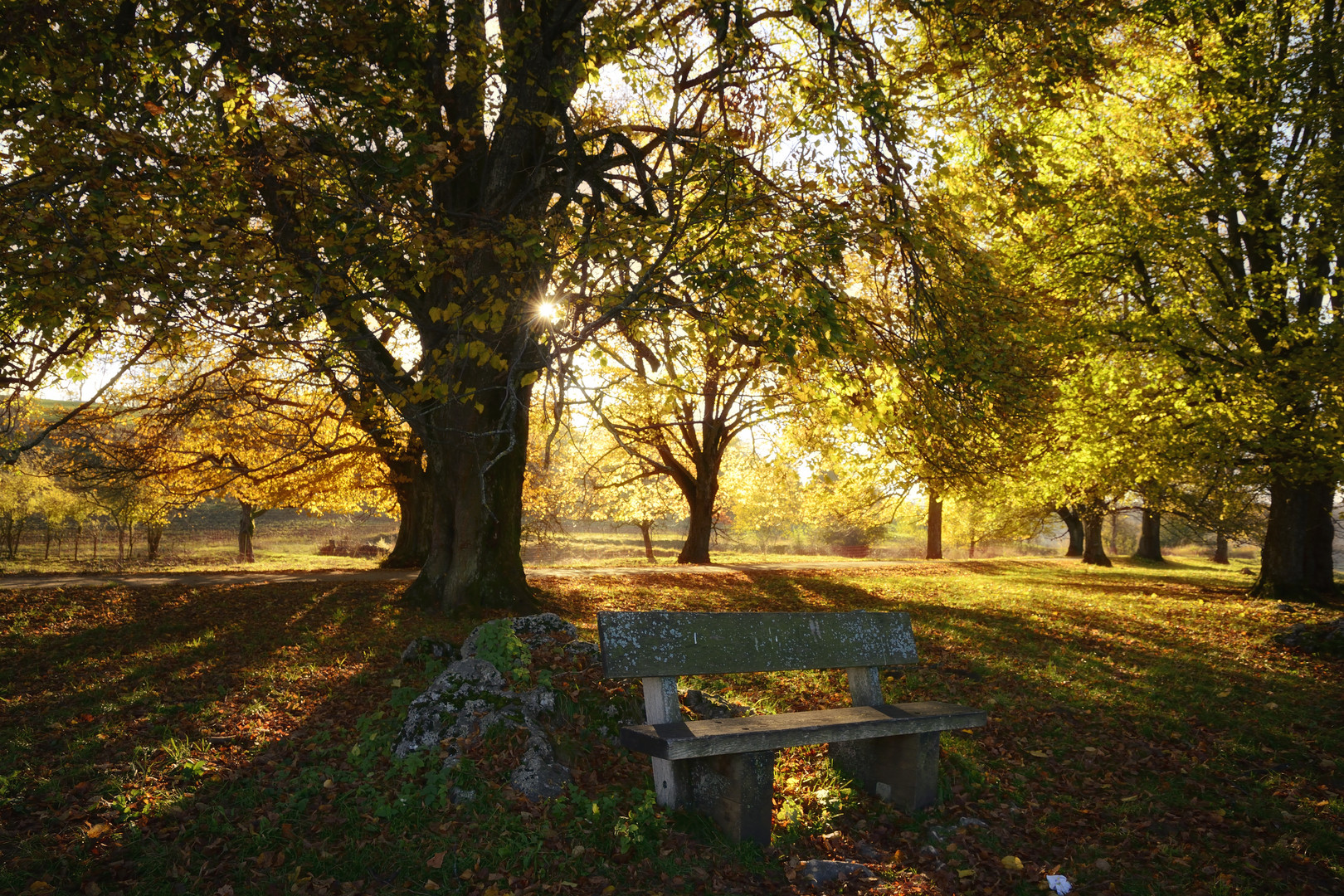 Herbststimmung