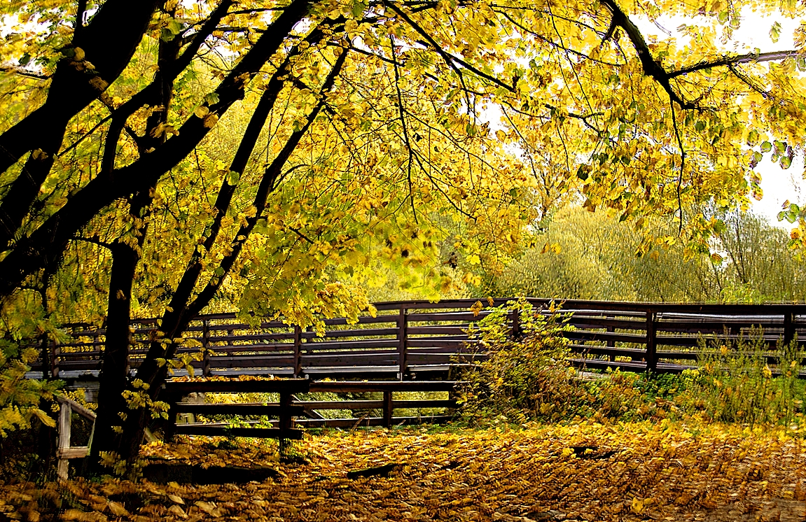 Herbststimmung