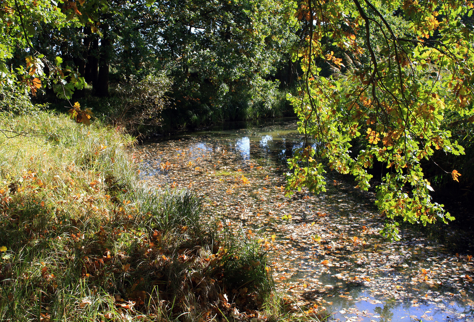 Herbststimmung