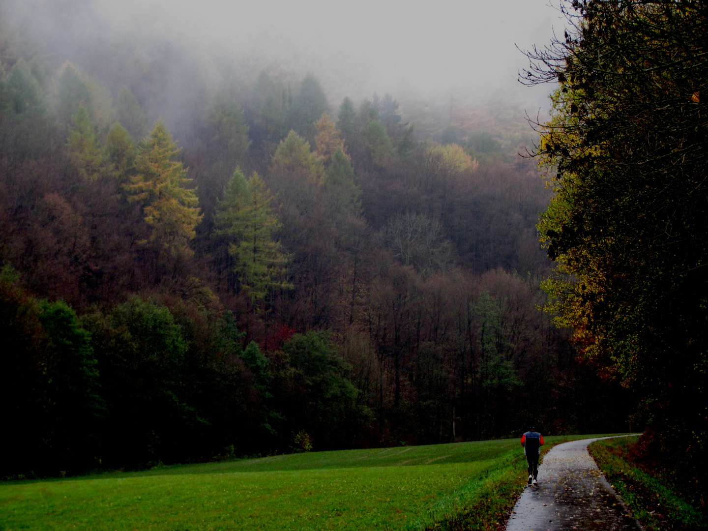 Herbststimmung