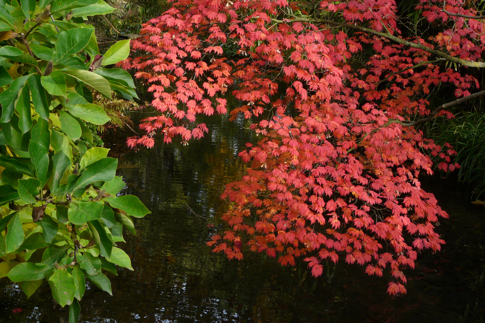 Herbststimmung