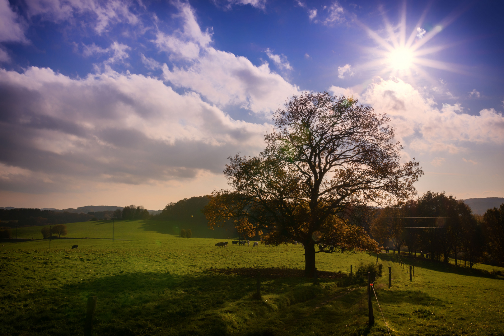 Herbststimmung