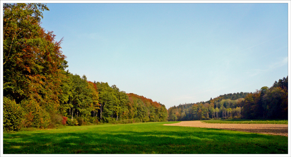 Herbststimmung