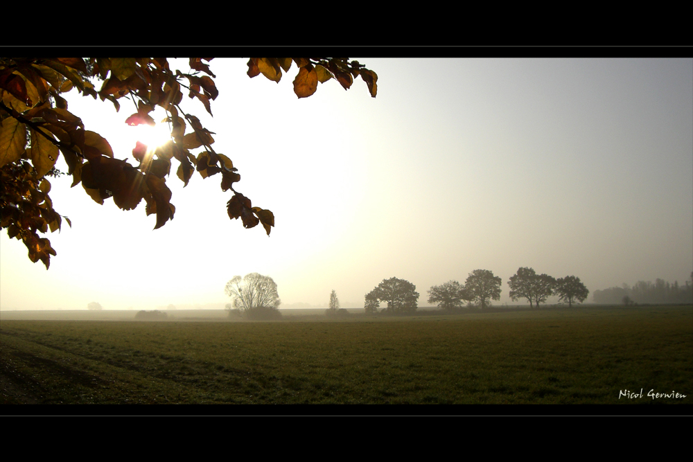 Herbststimmung - Die Erste