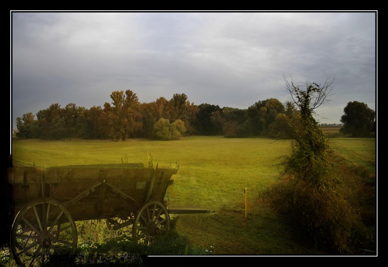 Herbststimmung die zweite