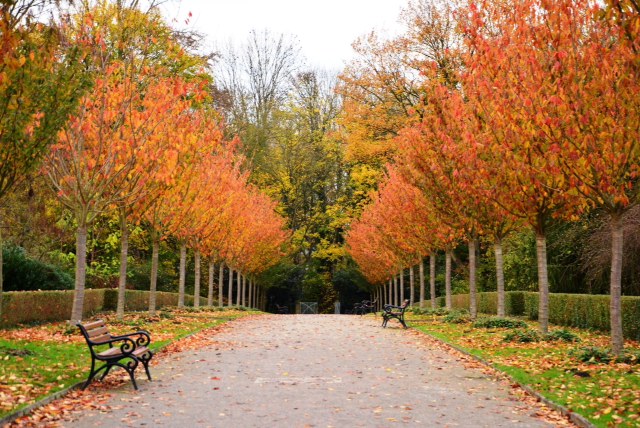 Herbststimmung, Dortmund