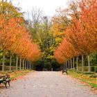 Herbststimmung, Dortmund