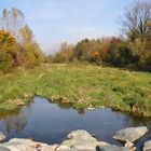 Herbststimmung DSC_8355