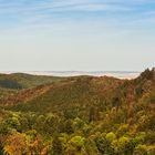 Herbststimmung durch  Borkenkäfer