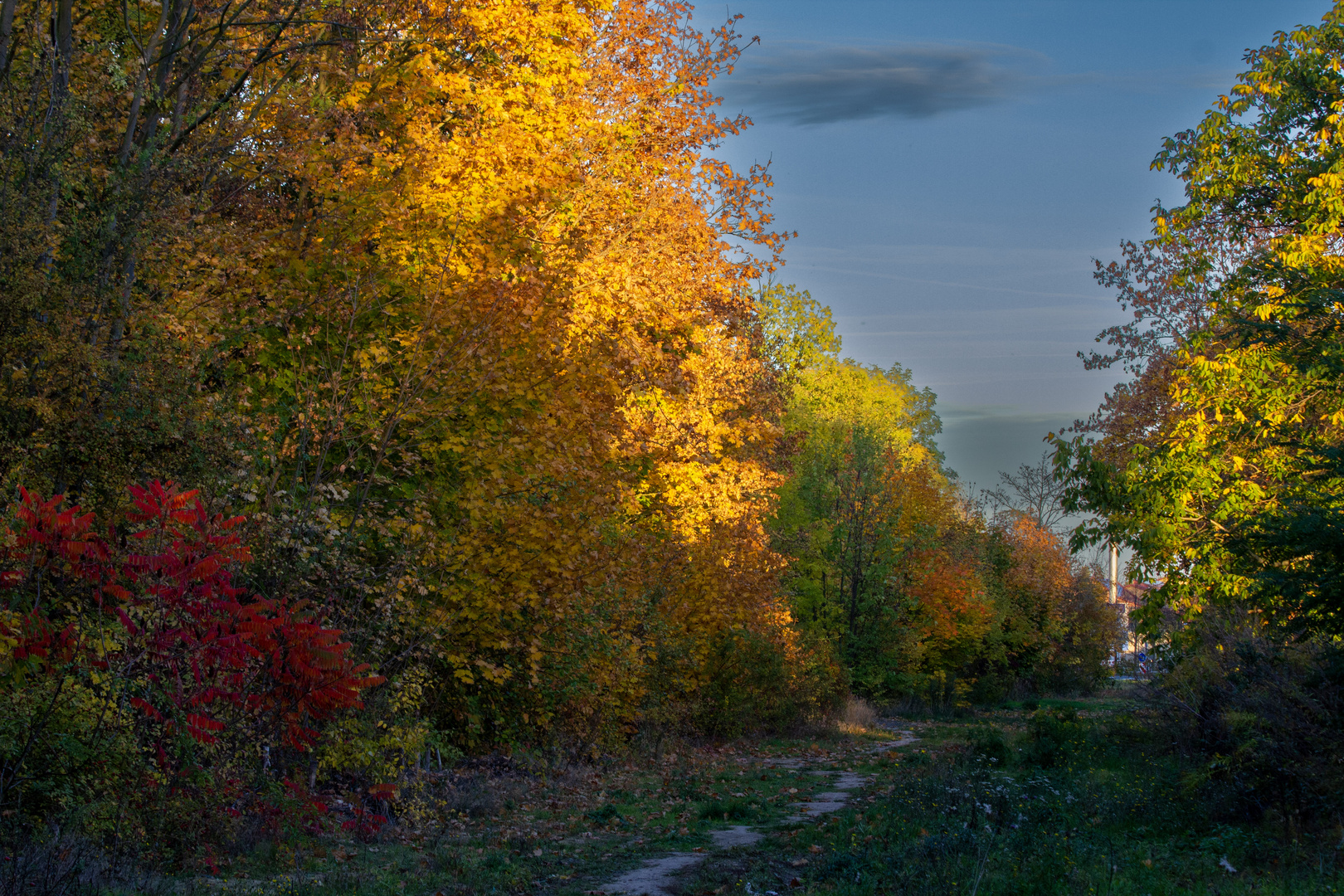 Herbststimmung