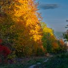 Herbststimmung