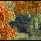 Herbststimmung