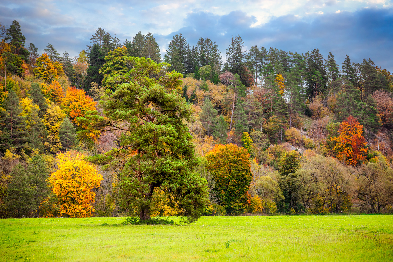 Herbststimmung