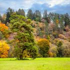 Herbststimmung