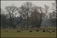 Herbststimmung