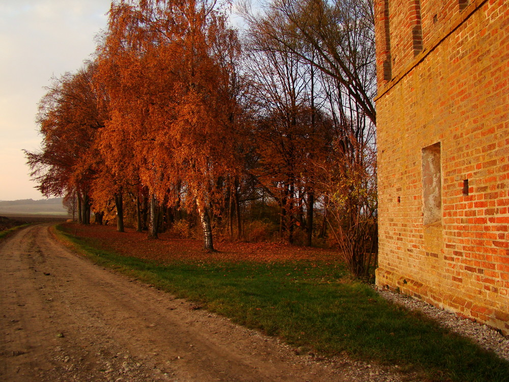 Herbststimmung