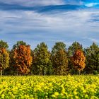 Herbststimmung