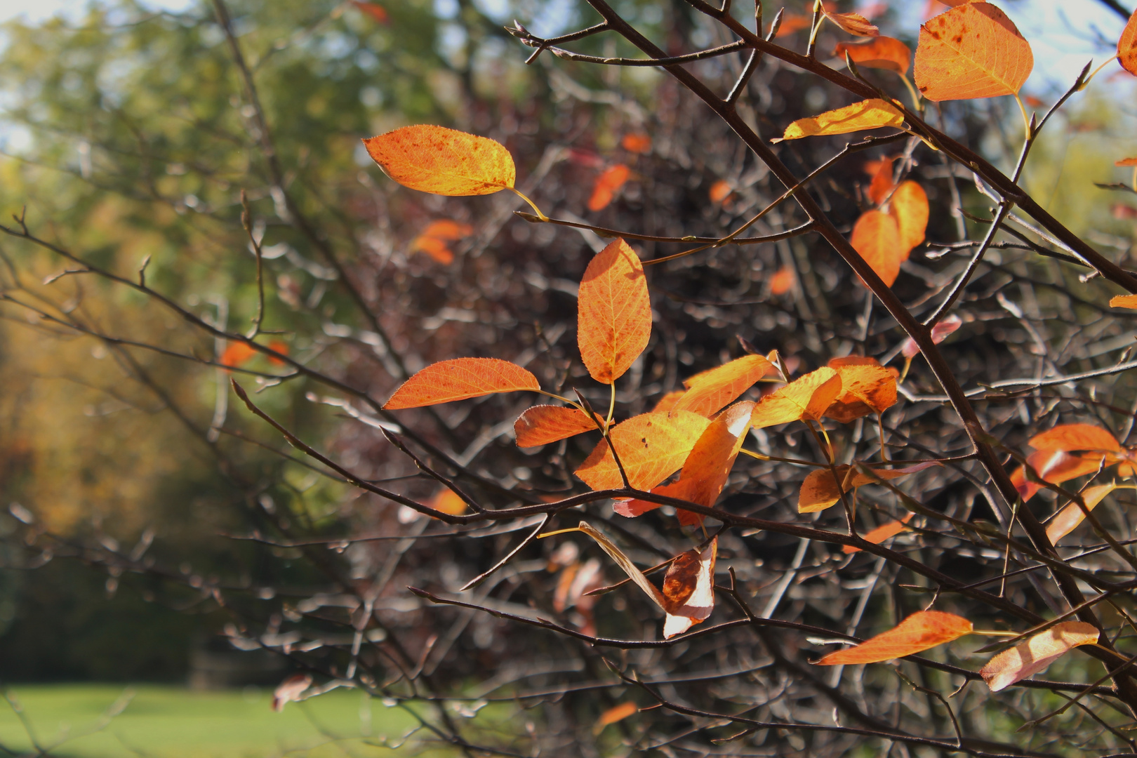 Herbststimmung